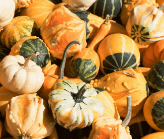 pumpkins