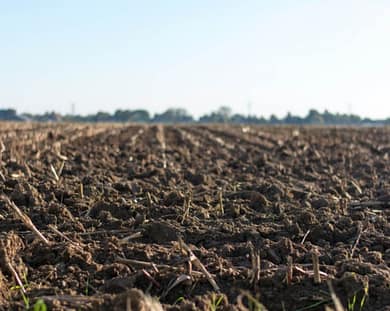 soil on farm