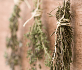 harvesting and drying herbs