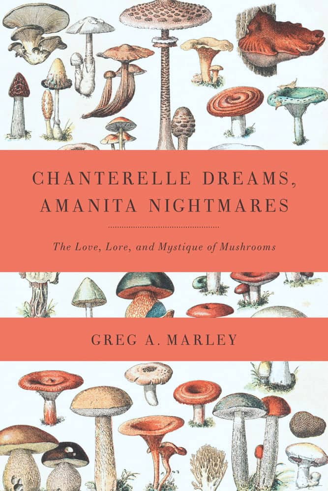 The Chanterelle Dreams