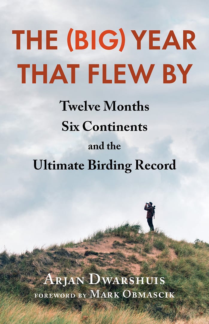 The (Big) Year that Flew By cover